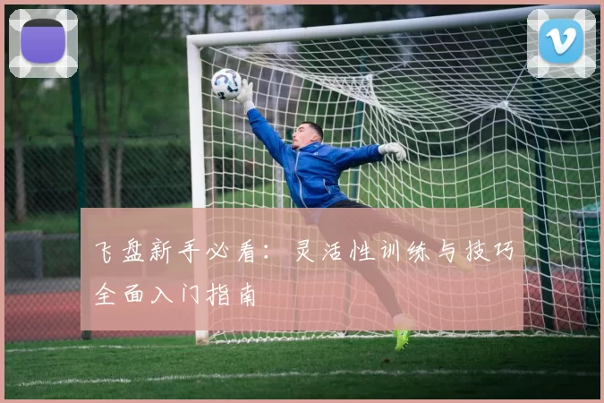 飞盘新手必看：灵活性训练与技巧全面入门指南