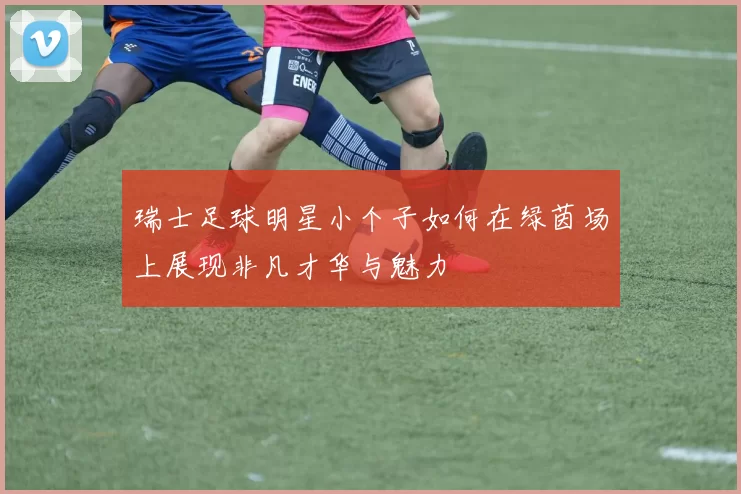 瑞士足球明星小个子如何在绿茵场上展现非凡才华与魅力