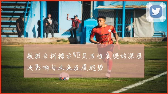 数据分析揭示WE灵活性表现的深层次影响与未来发展趋势