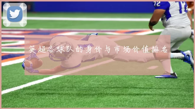 英超各球队的身价与市场价值排名