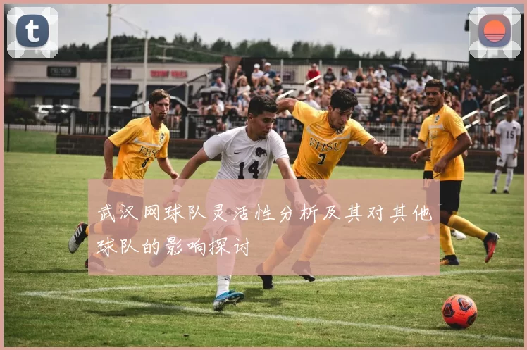 武汉网球队灵活性分析及其对其他球队的影响探讨