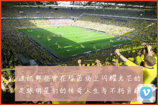 追忆那些曾在绿茵场上闪耀光芒的足球明星们的传奇人生与不朽贡献