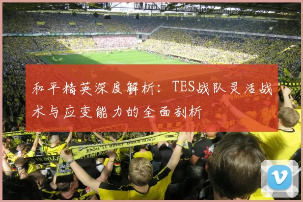 和平精英深度解析：TES战队灵活战术与应变能力的全面剖析