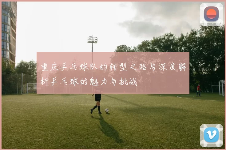 重庆乒乓球队的转型之路与深度解析乒乓球的魅力与挑战