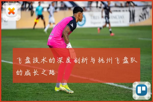 飞盘技术的深度剖析与杭州飞盘队的成长之路