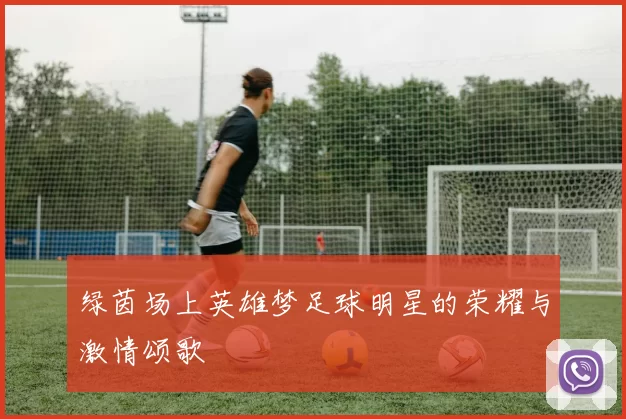 绿茵场上英雄梦足球明星的荣耀与激情颂歌