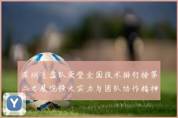 深圳飞盘队荣登全国技术排行榜第二名展现强大实力与团队协作精神