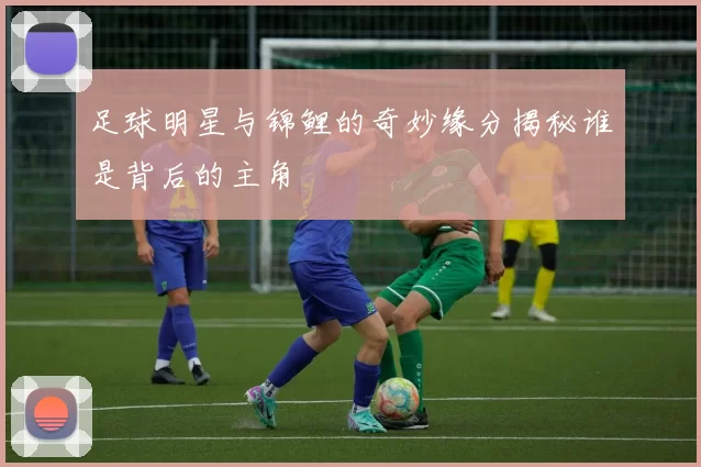 足球明星与锦鲤的奇妙缘分揭秘谁是背后的主角