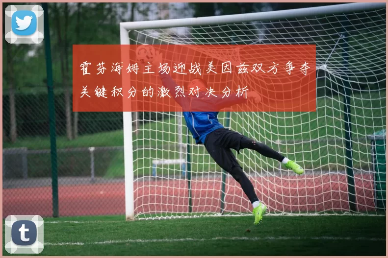 霍芬海姆主场迎战美因兹双方争夺关键积分的激烈对决分析