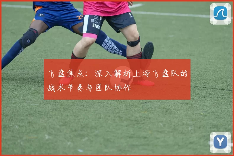 飞盘焦点：深入解析上海飞盘队的战术节奏与团队协作