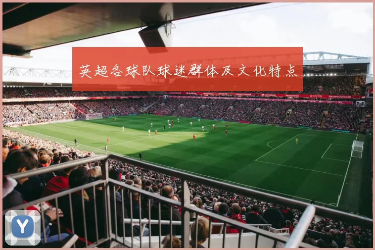 英超各球队球迷群体及文化特点
