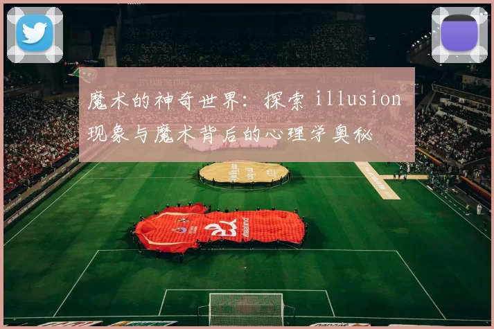 魔术的神奇世界：探索 illusion 现象与魔术背后的心理学奥秘