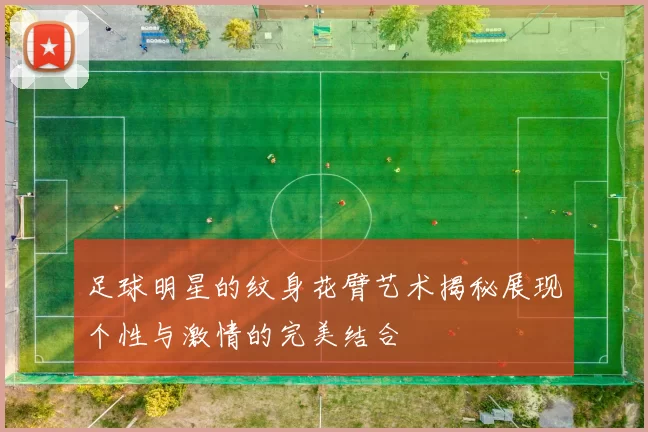 足球明星的纹身花臂艺术揭秘展现个性与激情的完美结合