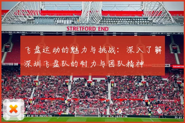 飞盘运动的魅力与挑战：深入了解深圳飞盘队的耐力与团队精神