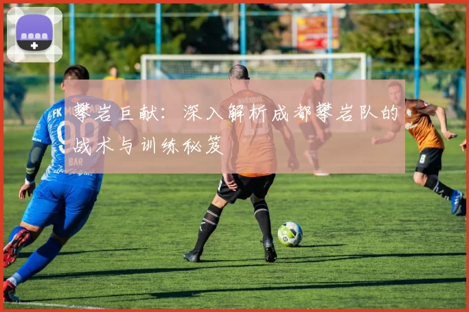 攀岩巨献：深入解析成都攀岩队的战术与训练秘笈